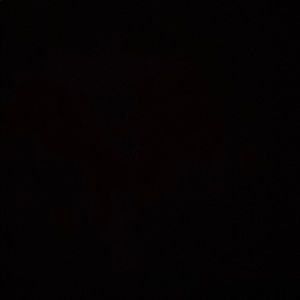 Meet your Posher, Om